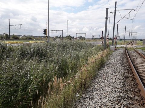 Le passage en Zeebrugge