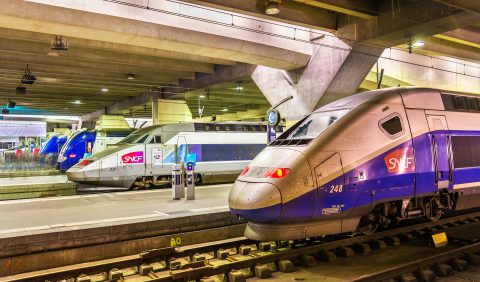 Gare Montparnasse (Shutterstock)