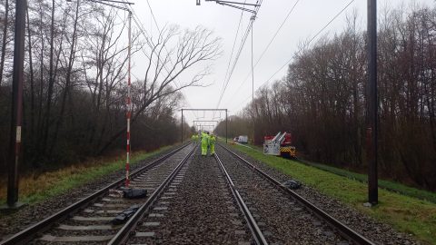 Boom op spoor