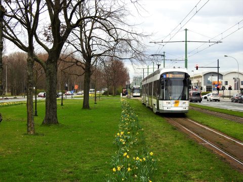 Flexitytram Lijn 9 Antwerpen