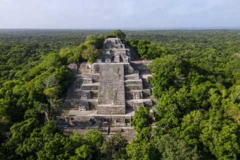 The ancient ruins of Calacmul
